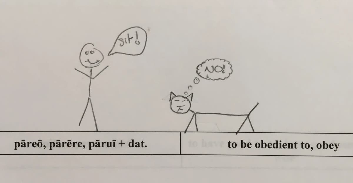 For the Latin word Obey, this student shows a person telling their cat to sit and a cat refusing to sit.