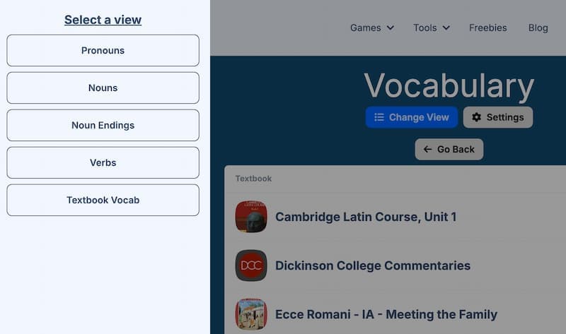 Pronouns, Nouns, Irregular Verbs, Noun Endings and Textbook vocab!